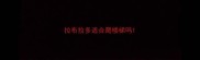 拉布拉多适合爬楼梯吗