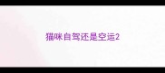 猫咪自驾还是空运