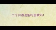 二个月泰迪能吃蛋黄吗
