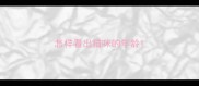 怎样看出猫咪的年龄