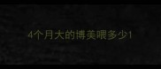 4个月大的博美喂多少