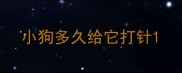 小狗多久给它打针