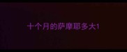 十个月的萨摩耶多大