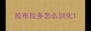 拉布拉多怎么训化