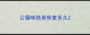公猫咪绝育恢复多久