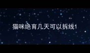 猫咪绝育几天可以拆线