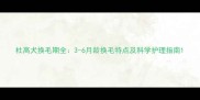 杜高犬换毛期全3-6月龄换毛特点及科学护理指南