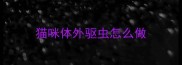 猫咪体外驱虫怎么做
