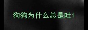 狗狗为什么总是吐