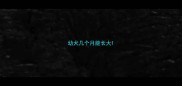 幼犬几个月能长大