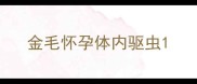 金毛怀孕体内驱虫