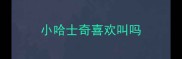 小哈士奇喜欢叫吗