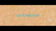 边牧吃鸡脯肉好吗