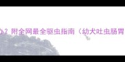 哈士奇吐虫子怎么办附全网最全驱虫指南幼犬吐虫肠胃不适呕吐物识别