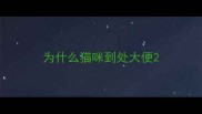 为什么猫咪到处大便