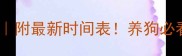 成犬疫苗全攻略附最新时间表养狗必看避坑指南