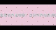 重庆哪里能领养宠物猴这份饲养指南请收好