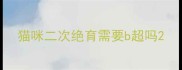 猫咪二次绝育需要b超吗