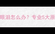 狗狗眼角流红眼泪怎么办专业5大原因及应对指南