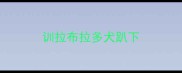训拉布拉多犬趴下