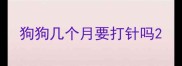 狗狗几个月要打针吗