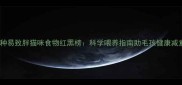 5种易致胖猫咪食物红黑榜科学喂养指南助毛孩健康减重