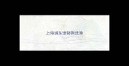 上海浦东宠物狗洗澡