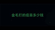 金毛打的疫苗多少钱