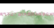 夏季狗狗喘气不止这5大诱因与科学应对措施全