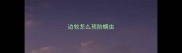 边牧怎么预防螨虫