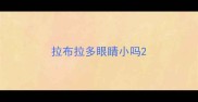 拉布拉多眼睛小吗