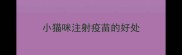 小猫咪注射疫苗的好处