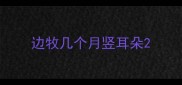 边牧几个月竖耳朵