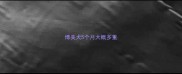 博美犬5个月大概多重