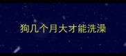 狗几个月大才能洗澡