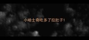 小哈士奇吃多了拉肚子