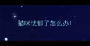 猫咪忧郁了怎么办