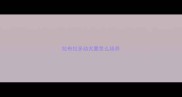 拉布拉多幼犬要怎么培养