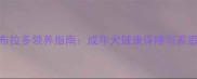 北京拉布拉多领养指南成年犬健康保障与家庭适配全