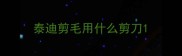 泰迪剪毛用什么剪刀