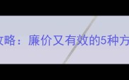 拉布拉多补钙全攻略廉价又有效的5种方法附品牌推荐
