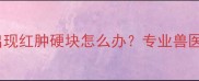 狗狗接种疫苗后出现红肿硬块怎么办专业兽医原因与应对措施