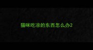 猫咪吃凉的东西怎么办