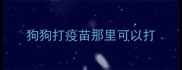 狗狗打疫苗那里可以打