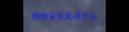 狗狗安乐死用什么