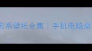 拉布拉多高清治愈系壁纸合集手机电脑桌面必备的萌宠美学