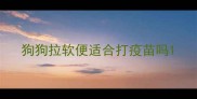 狗狗拉软便适合打疫苗吗