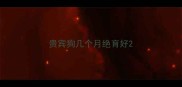 贵宾狗几个月绝育好