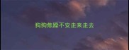 狗狗焦躁不安走来走去