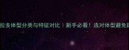拉布拉多体型分类与特征对比新手必看选对体型避免踩坑